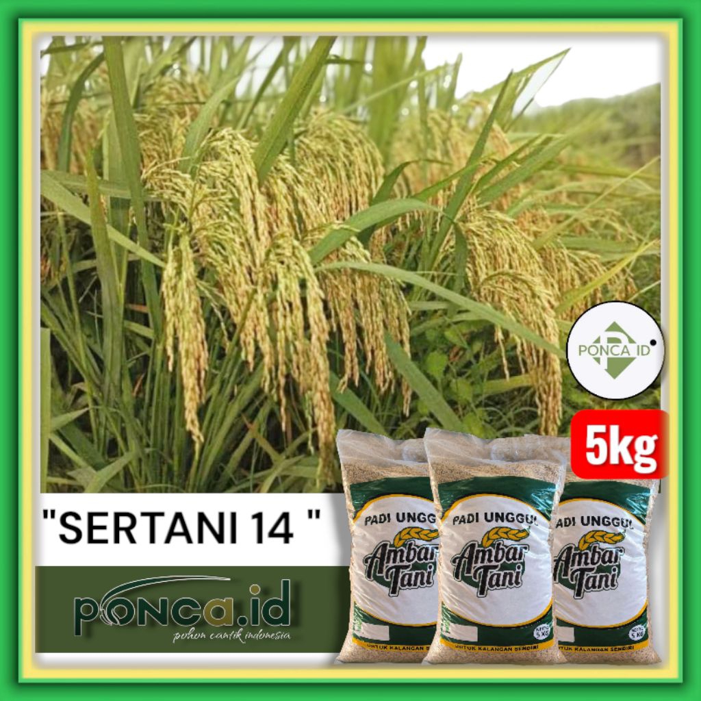 Benih Padi SERTANI 14 bibit unggul kemasan 5kg