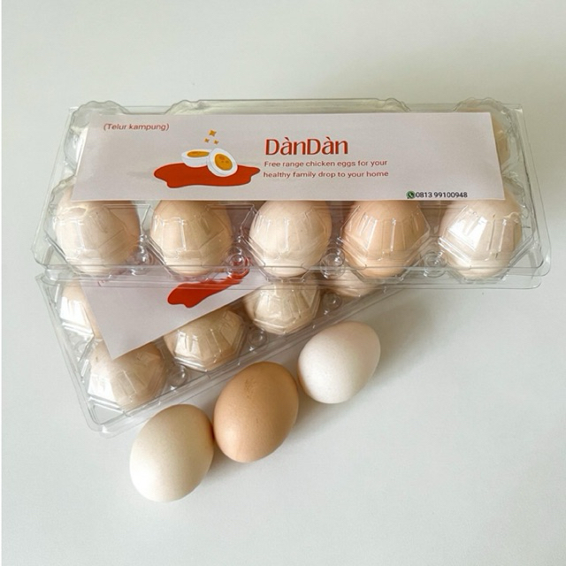 

Telur Segar DànDàn (Telur Ayam Kampung Kuning Asli /10 Butir)