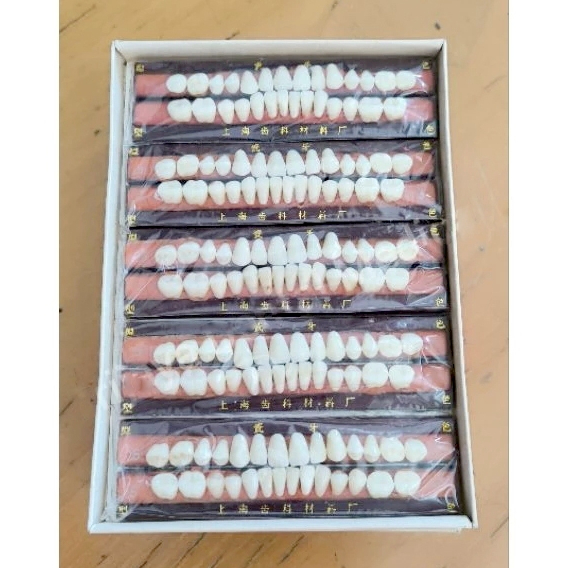 Anasir Gigi Tiruan Porselen | Gigi Palsu Porcelain Full Set