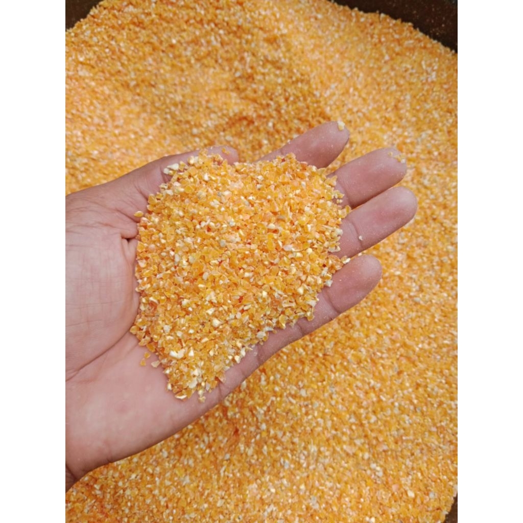 

Beras jagung 1kg nasi jagung diet asli Madura