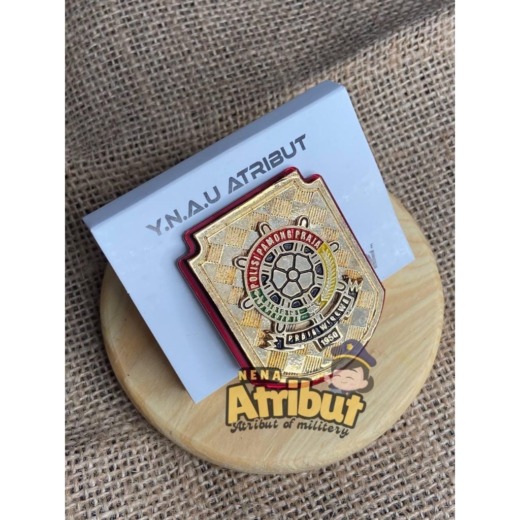 ATRIBUT POL PP KEWENANGAN POL PP EXCLUSIVE