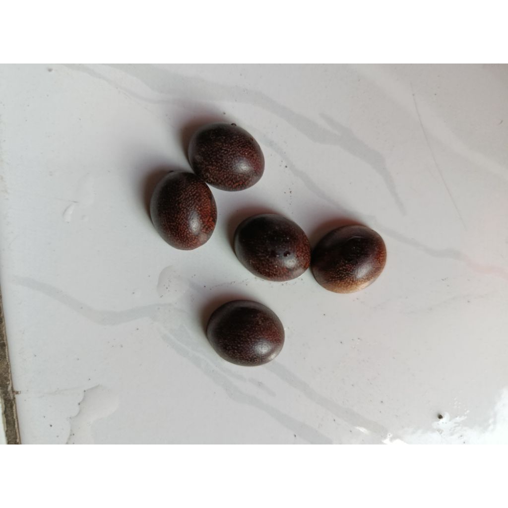 mata cincin kayu galih asem jawa original