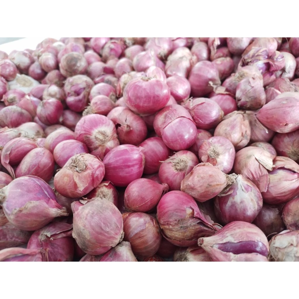

Bawang Merah Bima Super 250 gram
