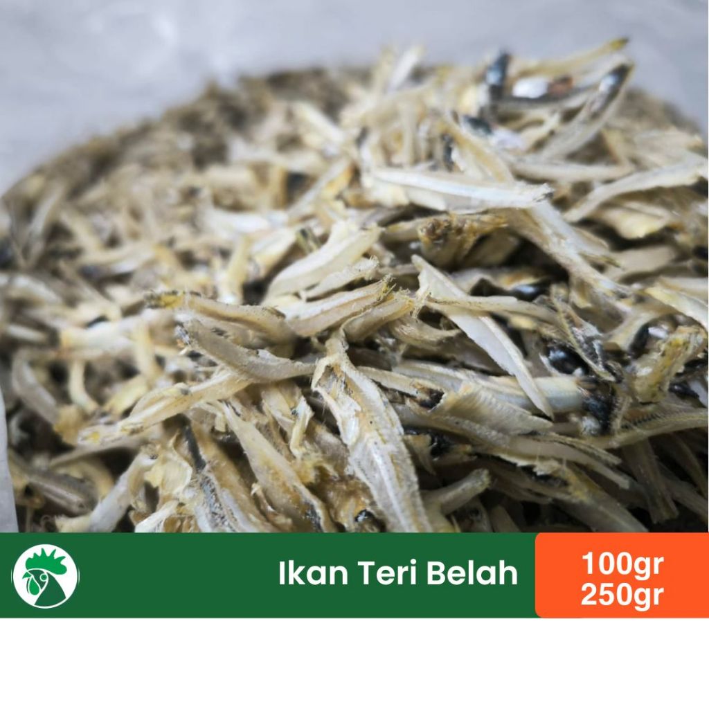 Ikan Teri Belah | Teri Kacang Belah | Jengki