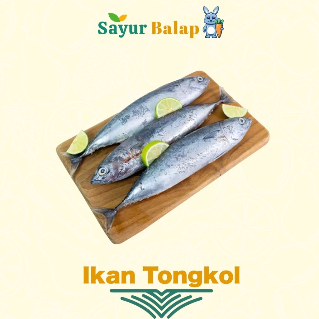 

Ikan Tongkol - 1/2 Kilo - Fres - Sayur Balap Lampung