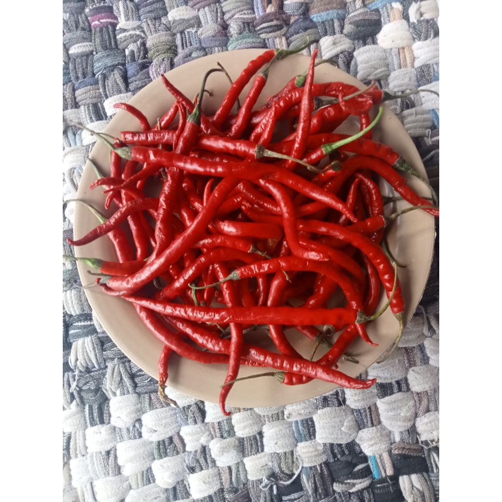 

Cabe Merah Keriting Kiloan 1 kg 1000gr Cabai Kriting Lombok Segar Fresh - Aneka Bumbu Dapur