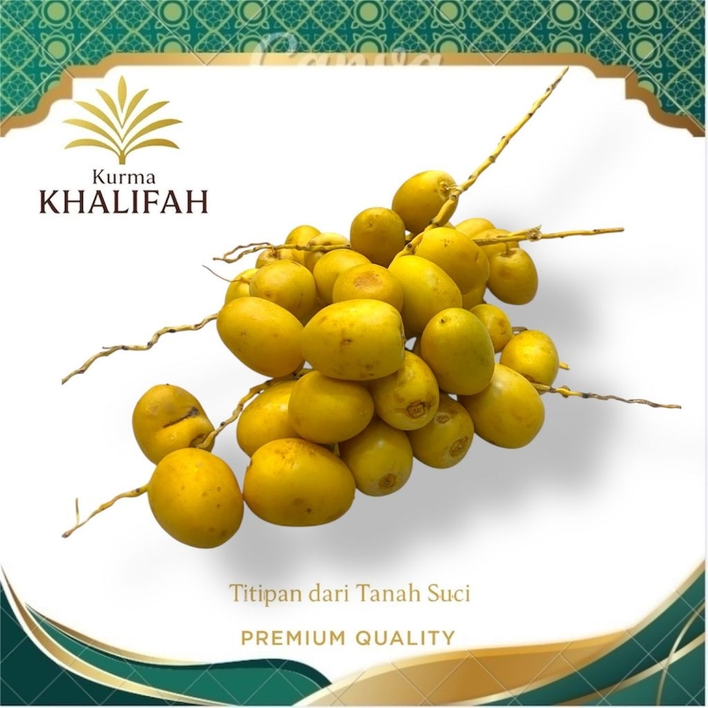 

Kurma Muda Free Tespack 1 Kg | Kurma Muda Promil | Kurma Muda