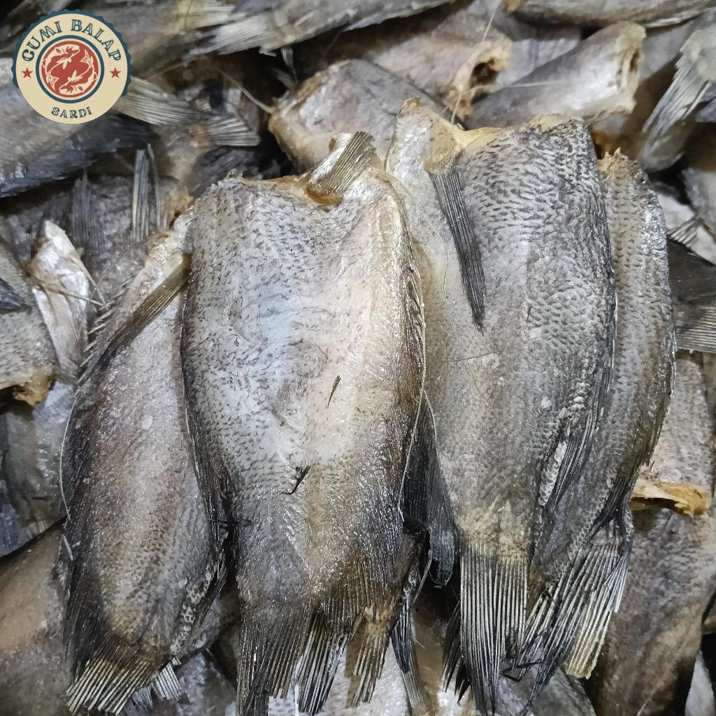 

ikan asin sepat ukurang sedang