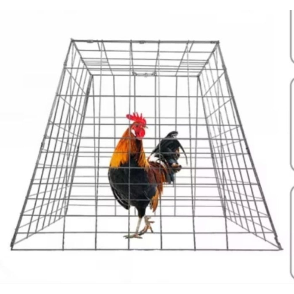 kandang ayam lipat -kurungan ayam model piramid - kandang ayam hias ayam bangkok ayam kate