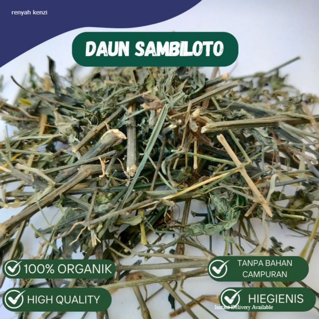 

Sambiloto/daun sambiroto kering herbal alami asli 100%