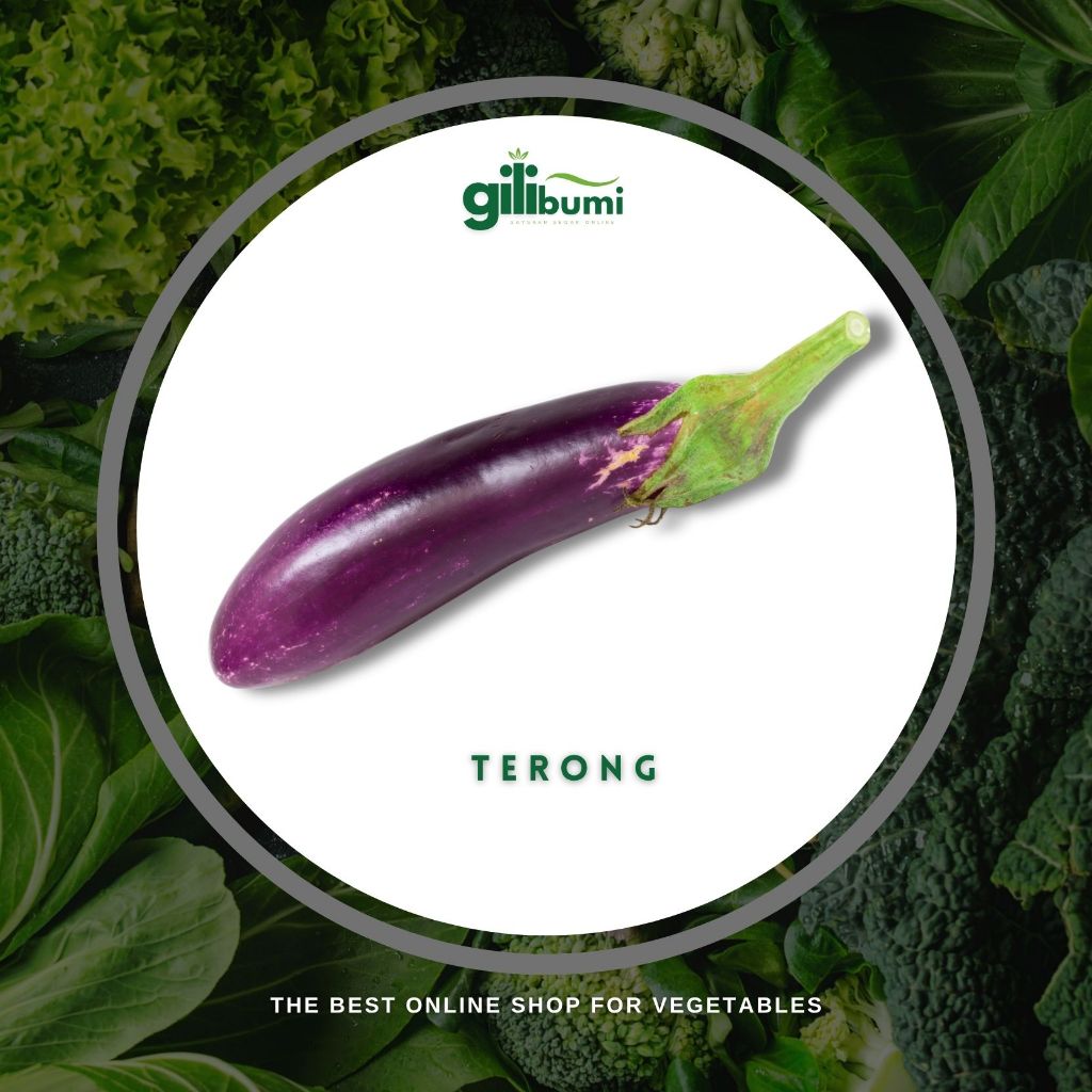 

Terong Ungu (500gr)