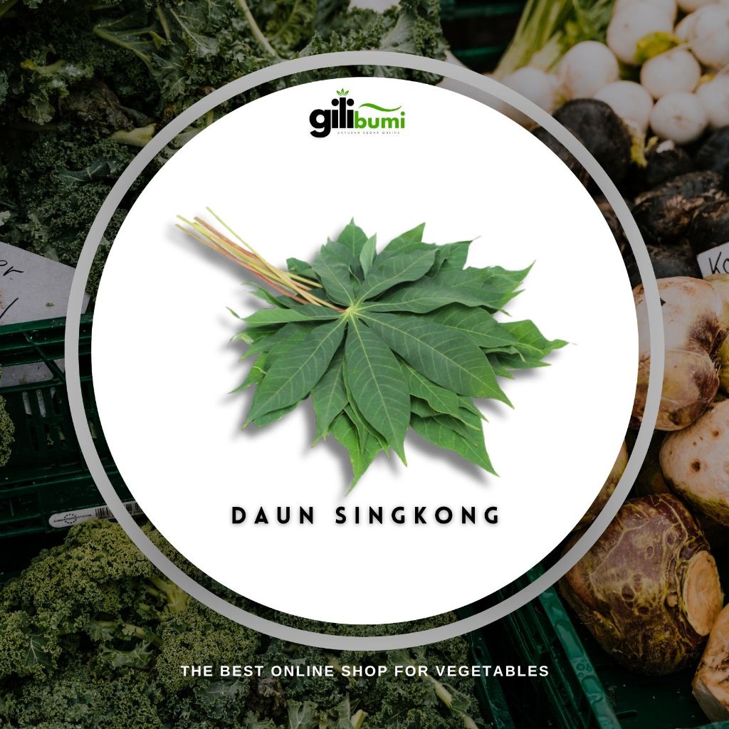 

Daun Singkong Bersih 1 Ikat