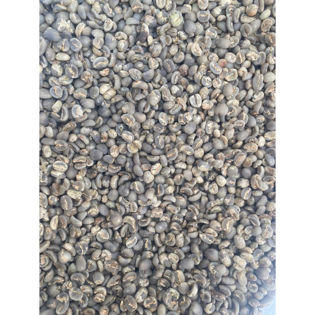 

Biji Kopi Arabika Gayo Proses Wet Hull (Semi Washed) 1kg 100% Original Gayo.