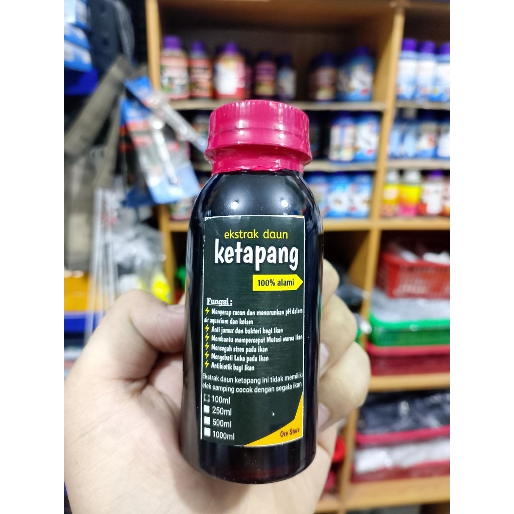EKSTRAK DAUN KETAPANG ( 100 ML )