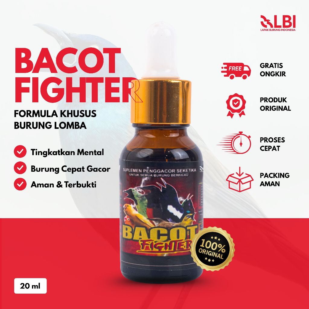 LBI - Bacot Fighter Vitamin Penggacor