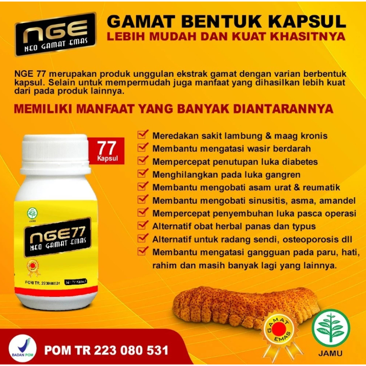 Kapsul Gamat NGE 77