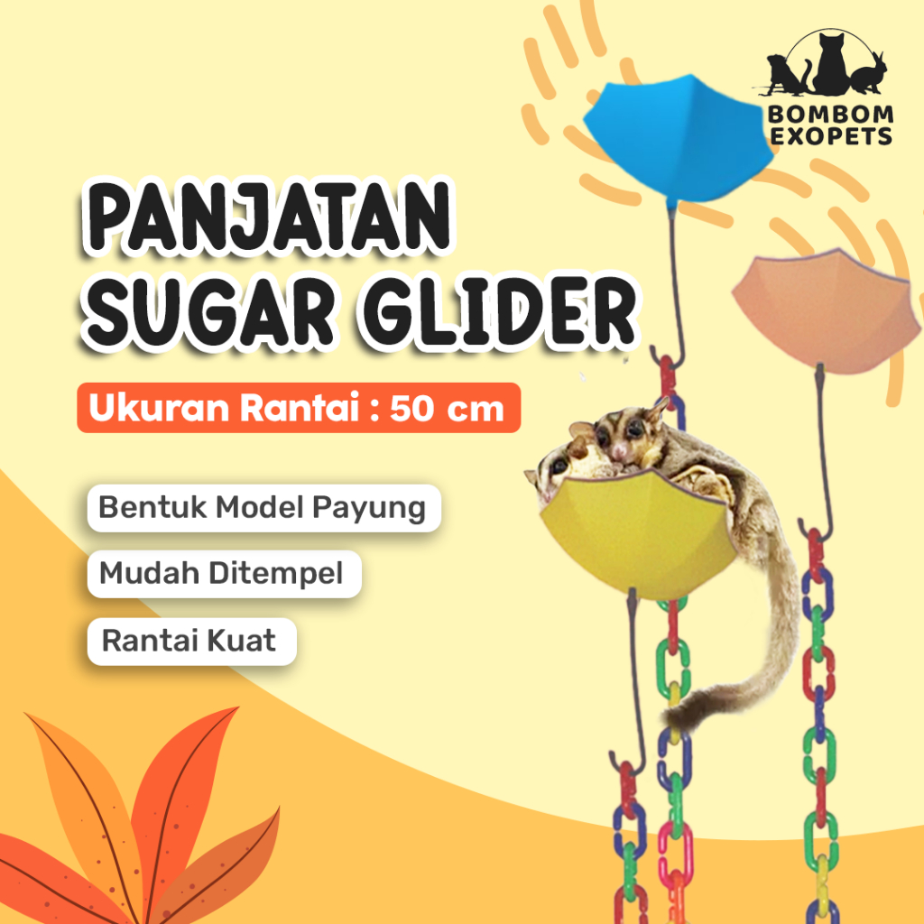 BOMBOM Mainan Glide to Owner Sugar Glider Alat Latihan Lompat ke Owner Rantai 50cm Latih Kelincahan 