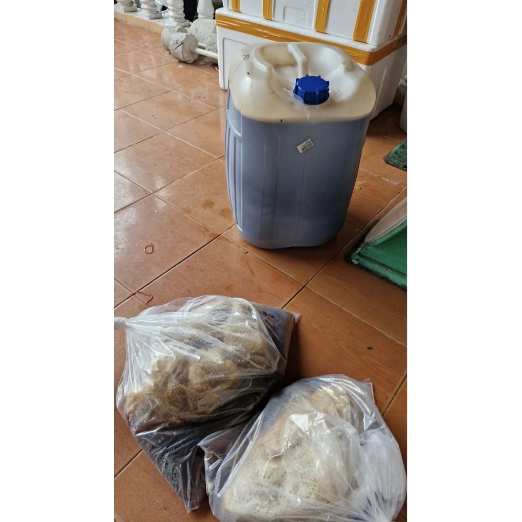 

Grosir Madu Lebah Hutan Sialang ( 50 Kg & 25 Kg )