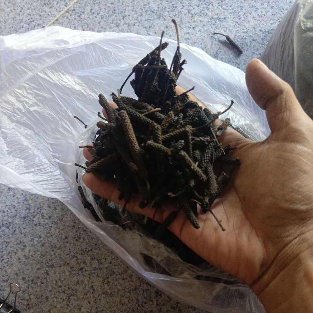 

cabe jamu/ cabe puyang 250g