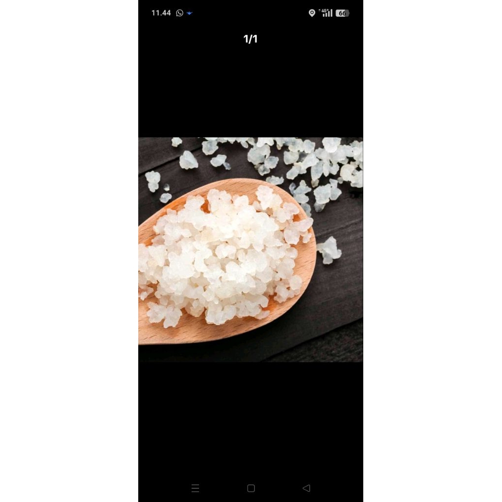 

algae jepang/bibit water kefir/50gr disertai petunjuk pembuatan