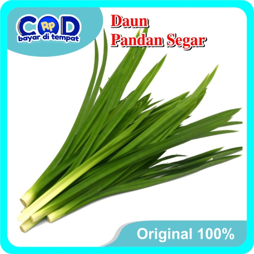 

[C O D]Daun Pandan Wangi Segar 250gram Untuk Penyedap Masakan dan Obat Tradisional