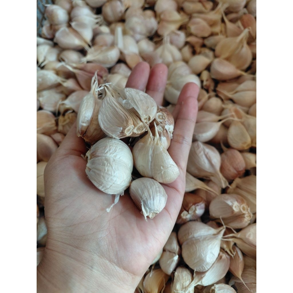 

Bawang Putih Kating Berat 500gram