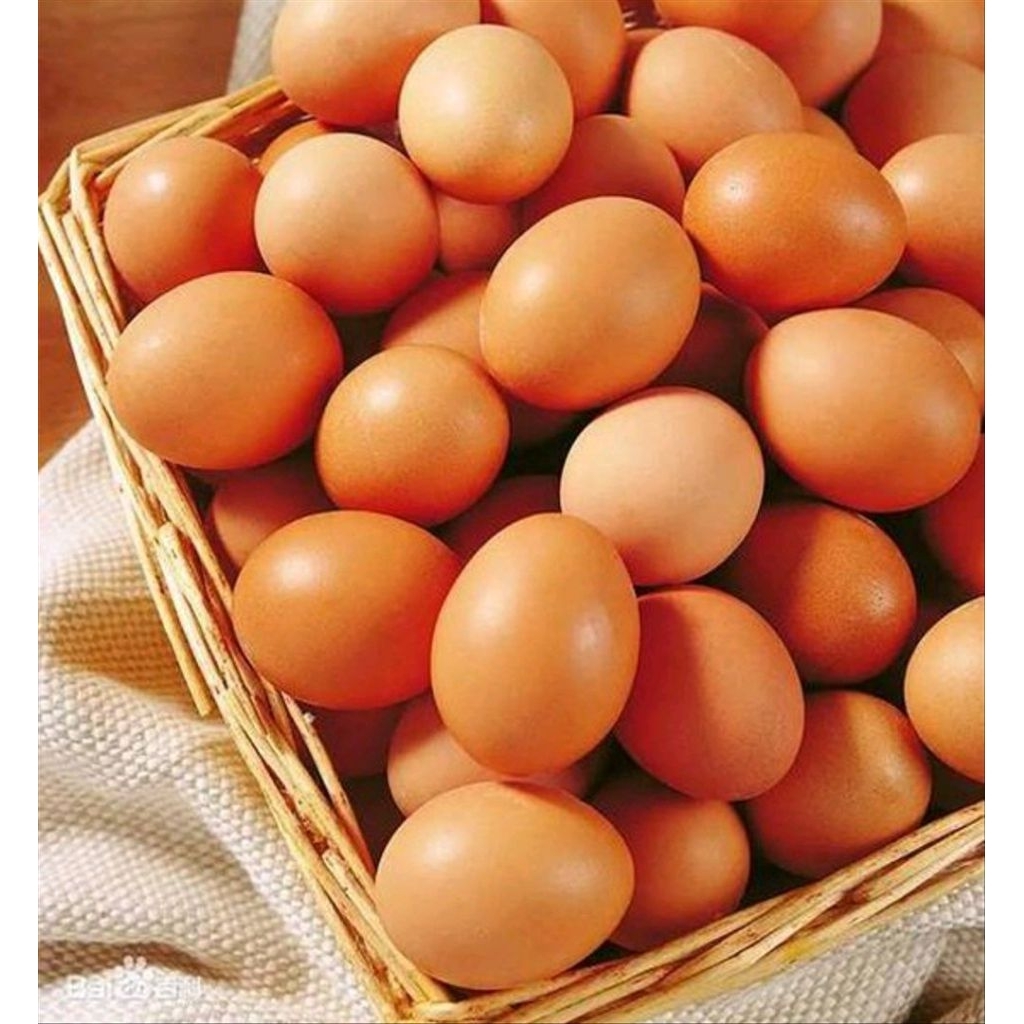 

Telur ayam negeri/eropa Grade A ukuran Jumbo 30 butir