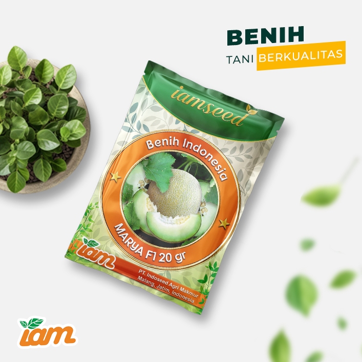 

Marya F1 20gr | Melon daging putih