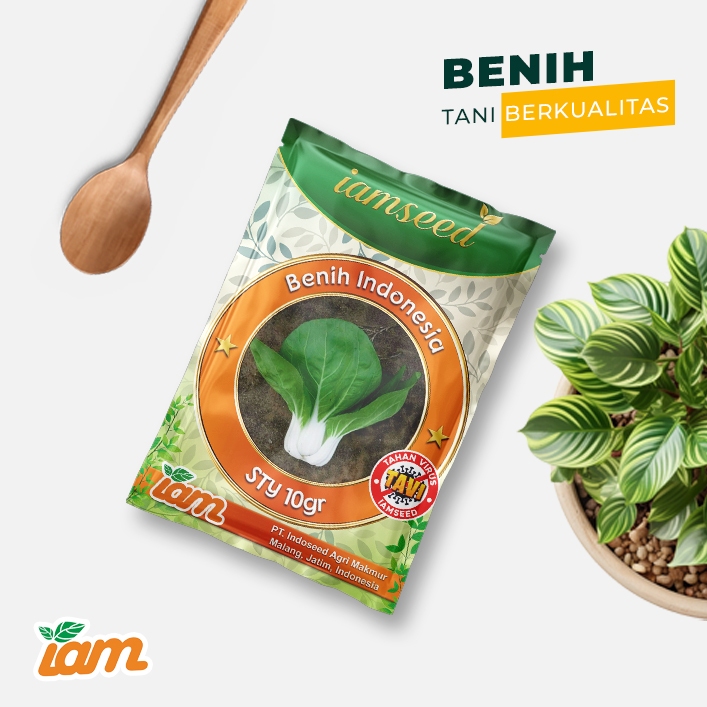 

STY 10gr | Pakcoy white