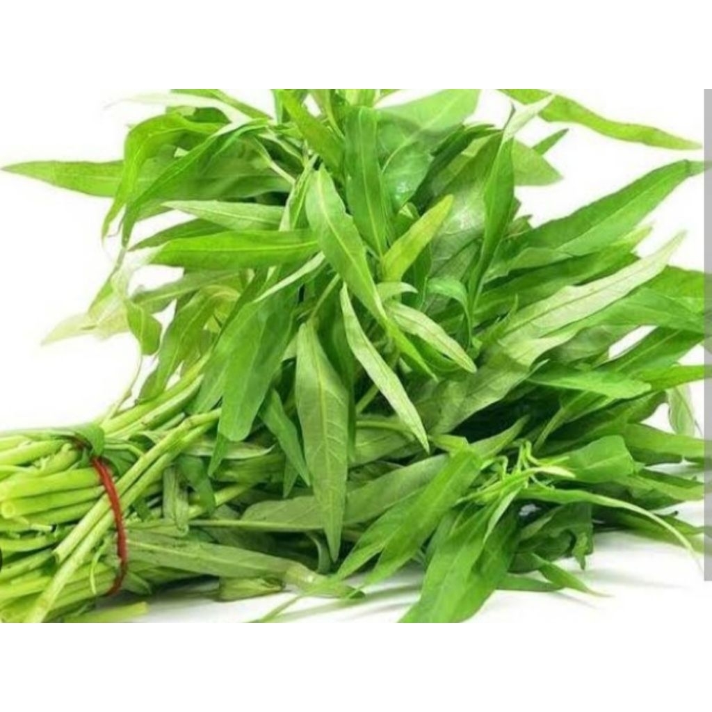

sayur kangkung fress