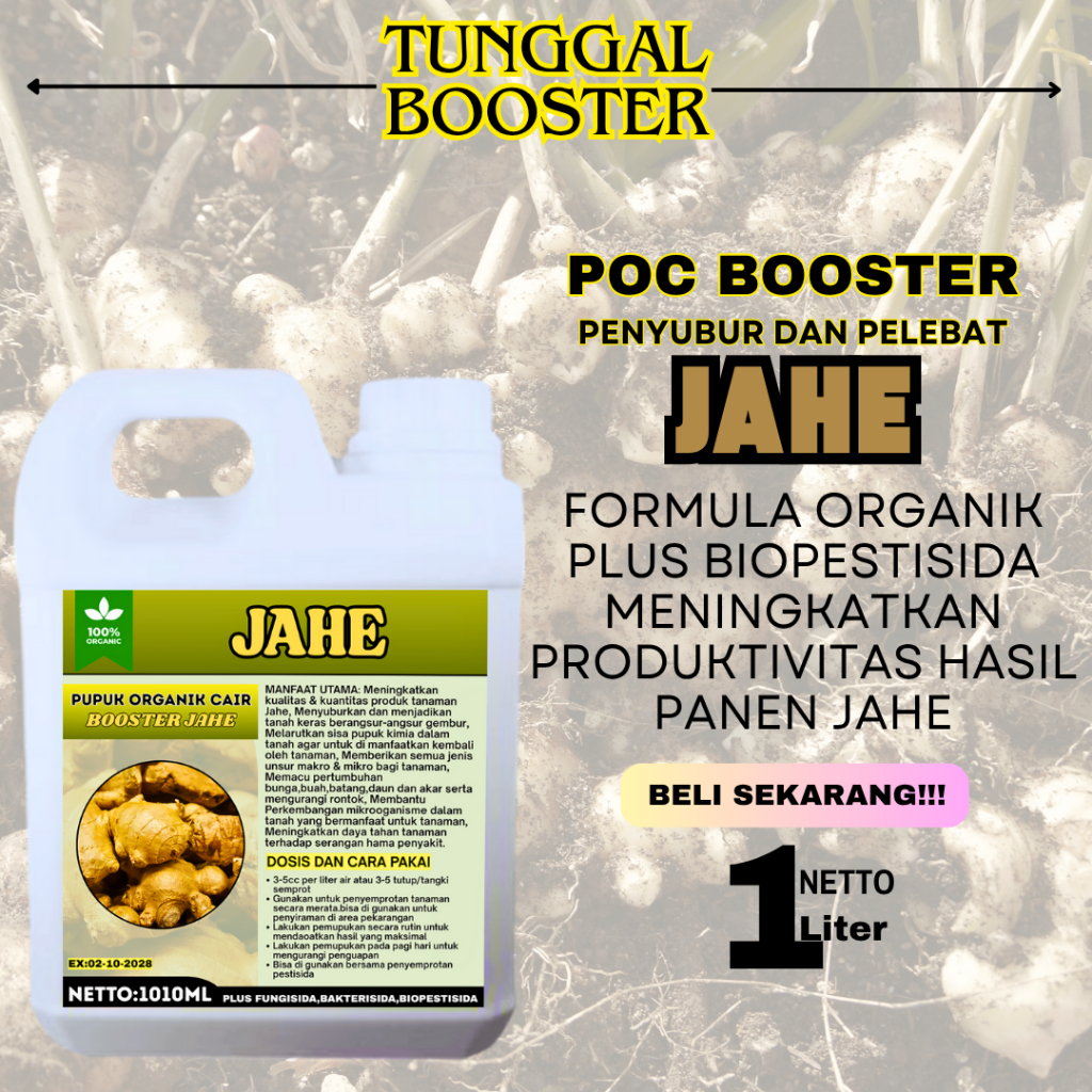 POC Pupuk Organik Cair Tanaman Jahe/Pupuk Jahe Berbuah Lebat/Pupuk Penyubur dan Perangsang Jahe/Pupu