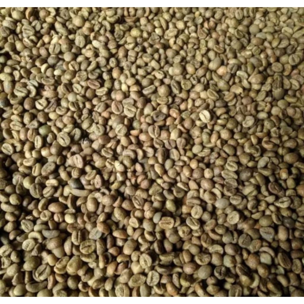 Greenbean Kopi Biji Robusta 1kg