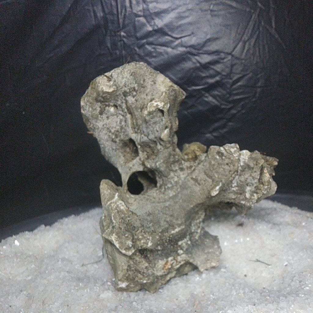 BATU KARANG GUNUNG UNTUK BONSAI DAN AQUASCAPE