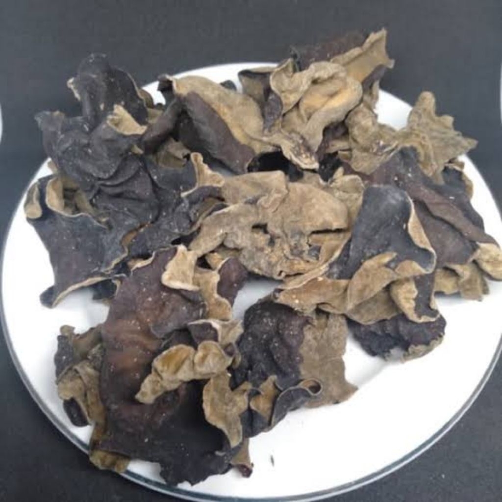 

lember jamur kuping kering