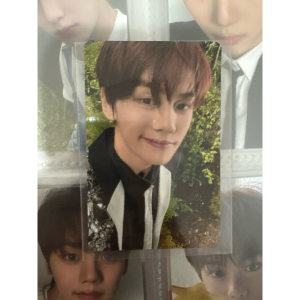 wts want to sell zerobaseone photocard kim gyuvin timeless world kanagawa