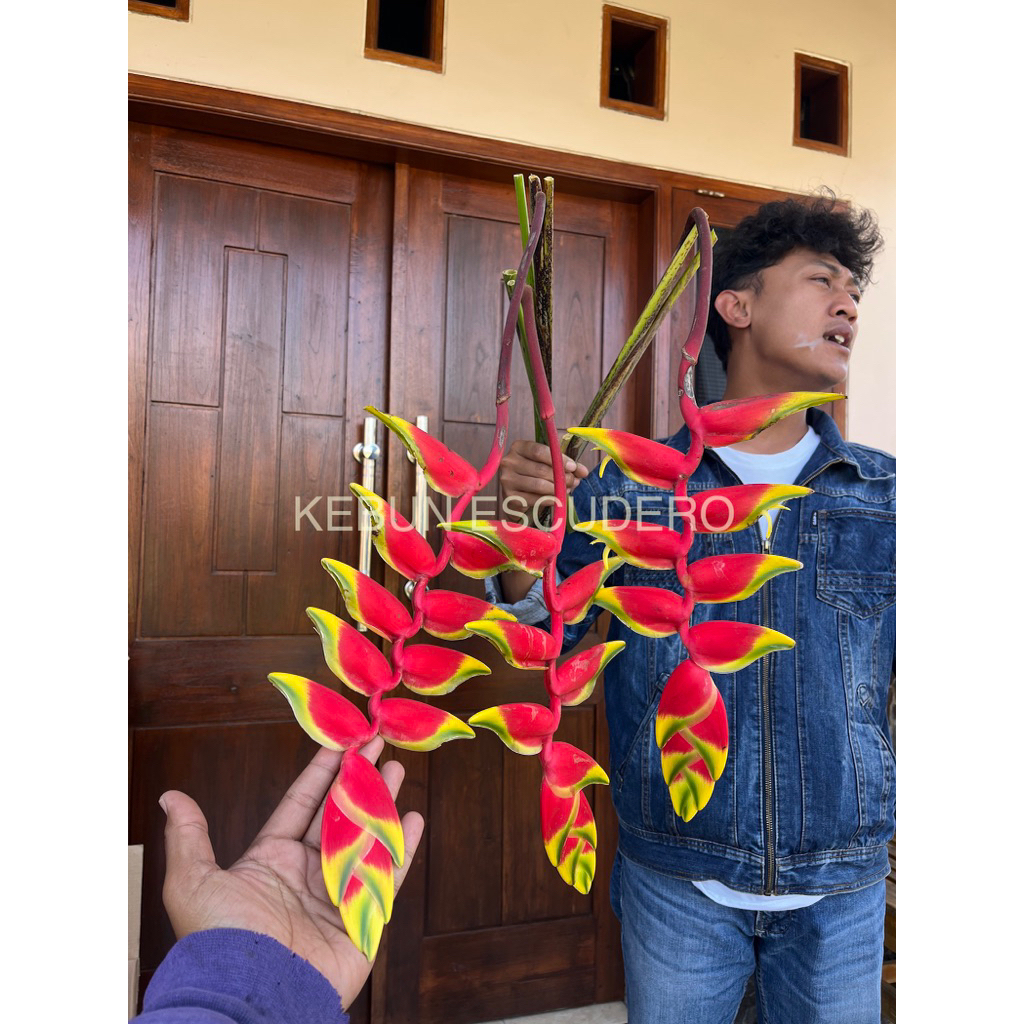 Bunga Potong Pisang Bali - Bunga Pisang Betet - Bunga Potong Pisang Hias