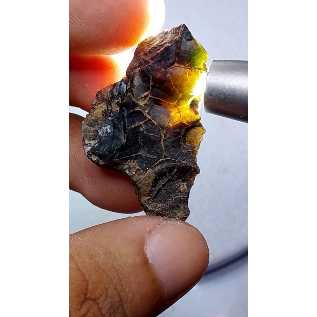 bacan cokmer serat kura