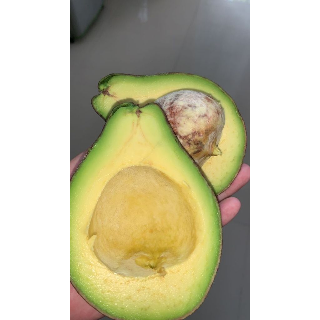 

COD ALPUKAT MENTAGA LOKAL PAKET (3KG) SUPER ISI 13/15BUAH BERGARANSI. (SUPER!!!)