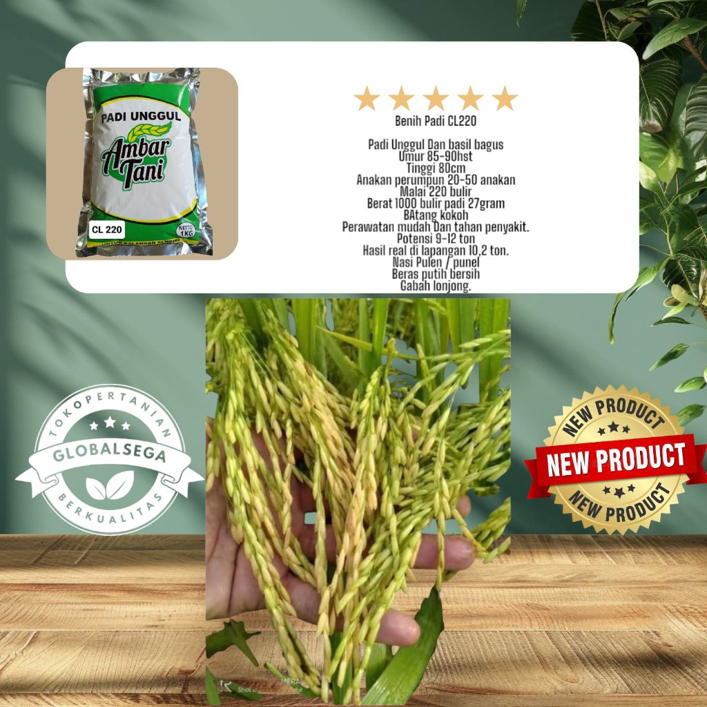benih padi Bibit padi CL 220 premium kemasan 1kg