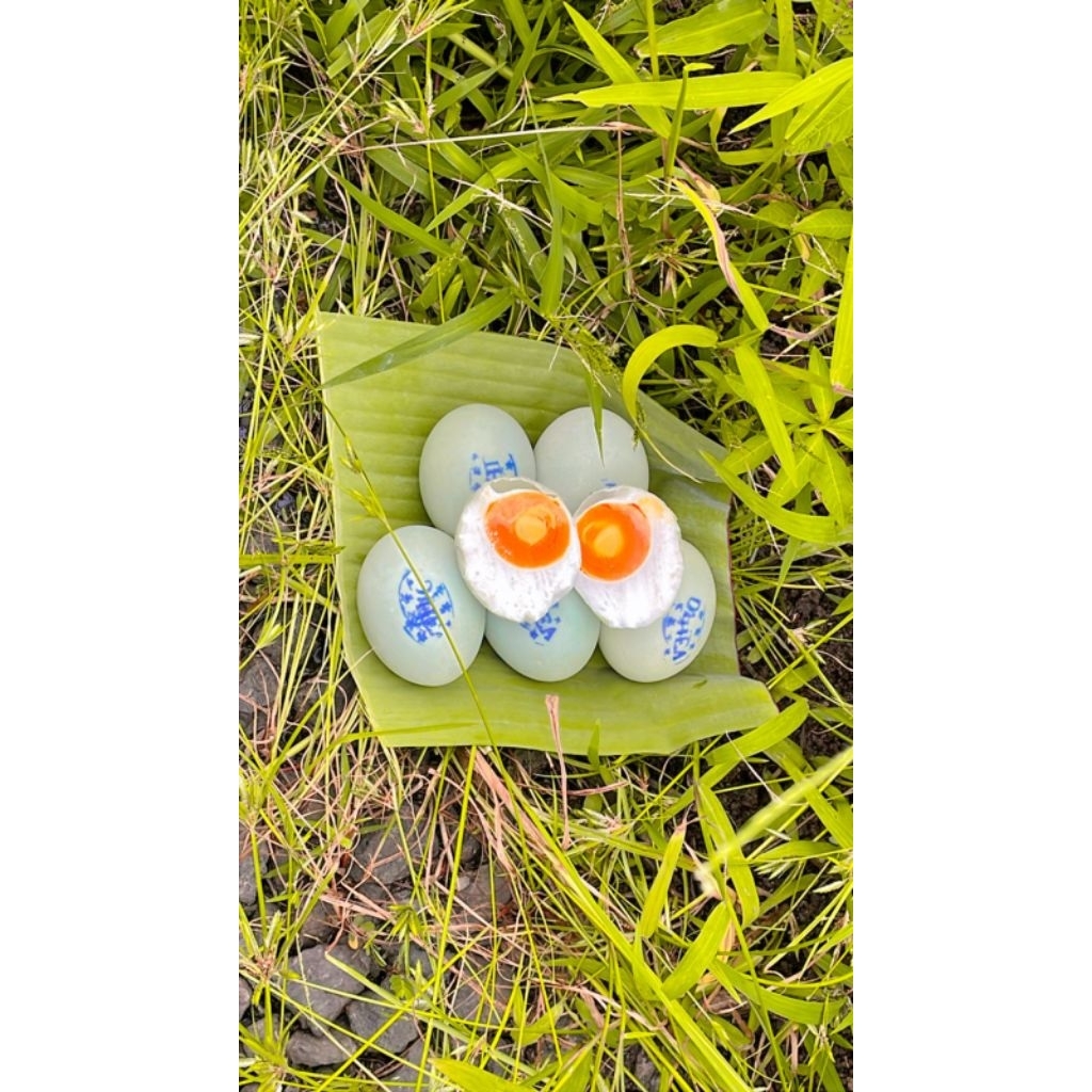

Telur Asin Itik Tambak "Dhea