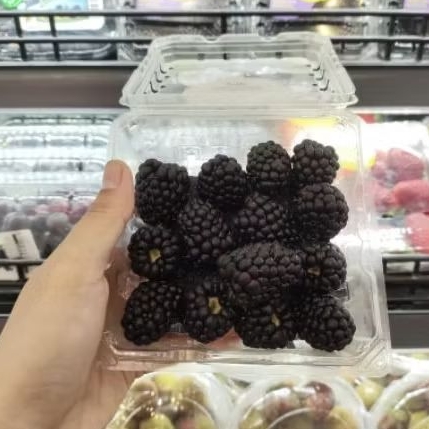 

Buah BlackBerry import Driscoll super premium pack