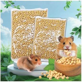 KEDELAI 500 GR - Biji Hamster Makanan Hamster Soybean Protein Bayi Hamster Memperbanyak Air Susu Ind