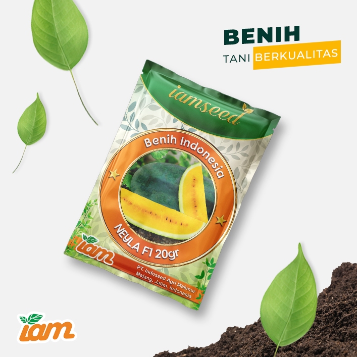 

Neyla F1 20gr | Semangka berbiji daging kuning