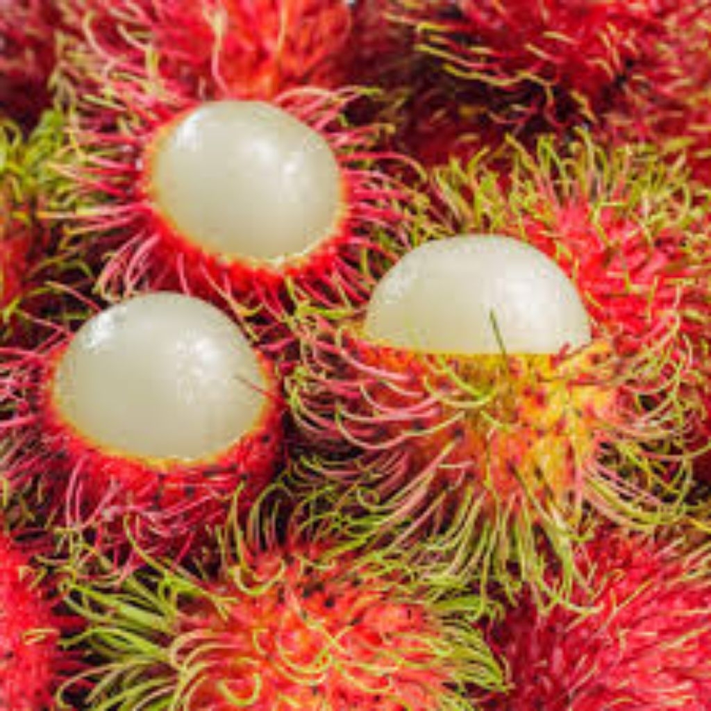 

rambutan Binjai buah segar dan higenis