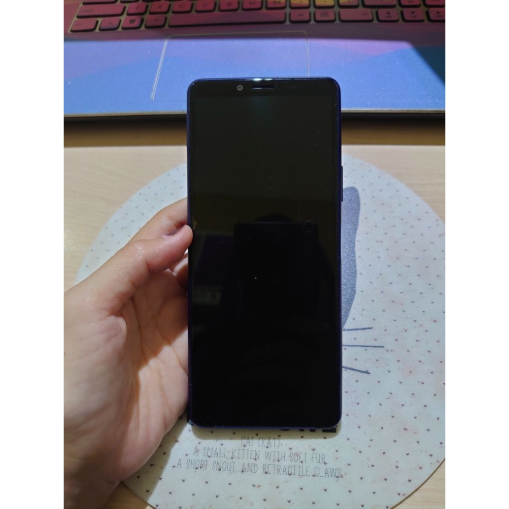 sony xperia 10 mark ii