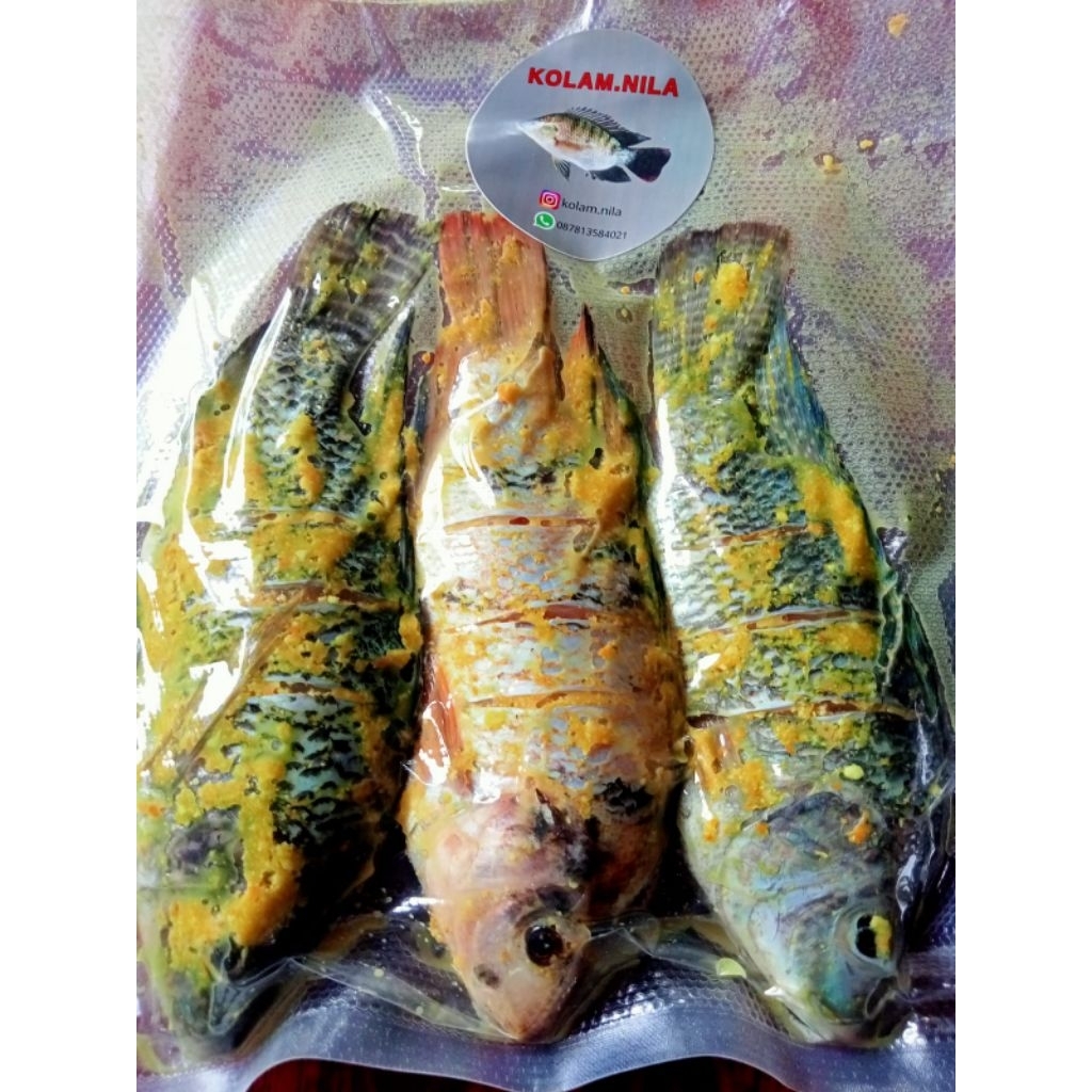

Frozen Ikan nila bumbu kuning siap saji