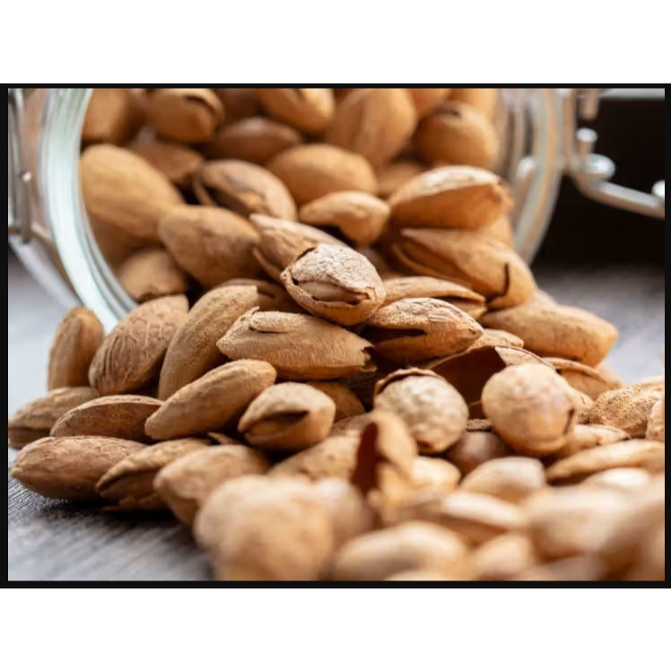 

Kacang Roasted Almond Panggang Siap Makan 500gr / Kacang Almond Panggang 500 gram Siap Makan