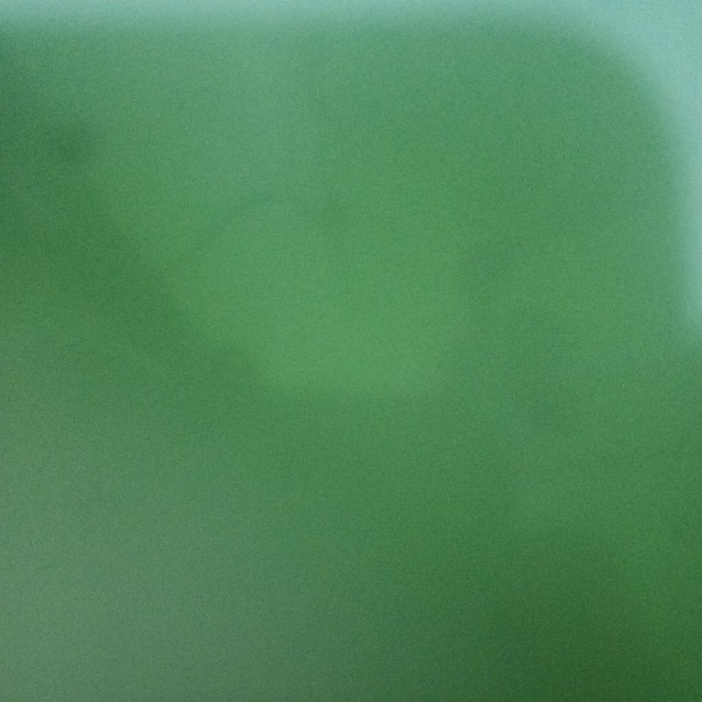 Yonex carbonex 15 sp