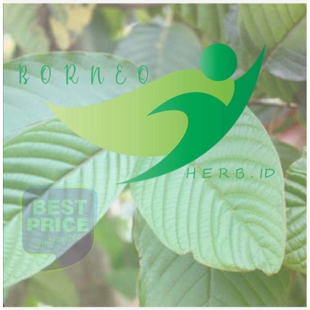 

bubuk herbal red borneo