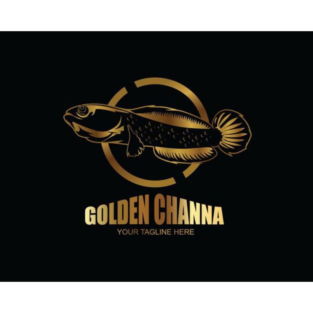 

Sticker Golden Pulcrha Singel Tank